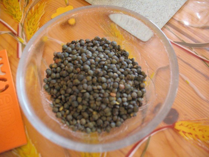 Faire pousser des lentilles faire pousser des lentilles — free download
